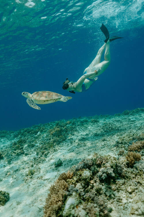 Image provided by Dev Watson - snorkeling 