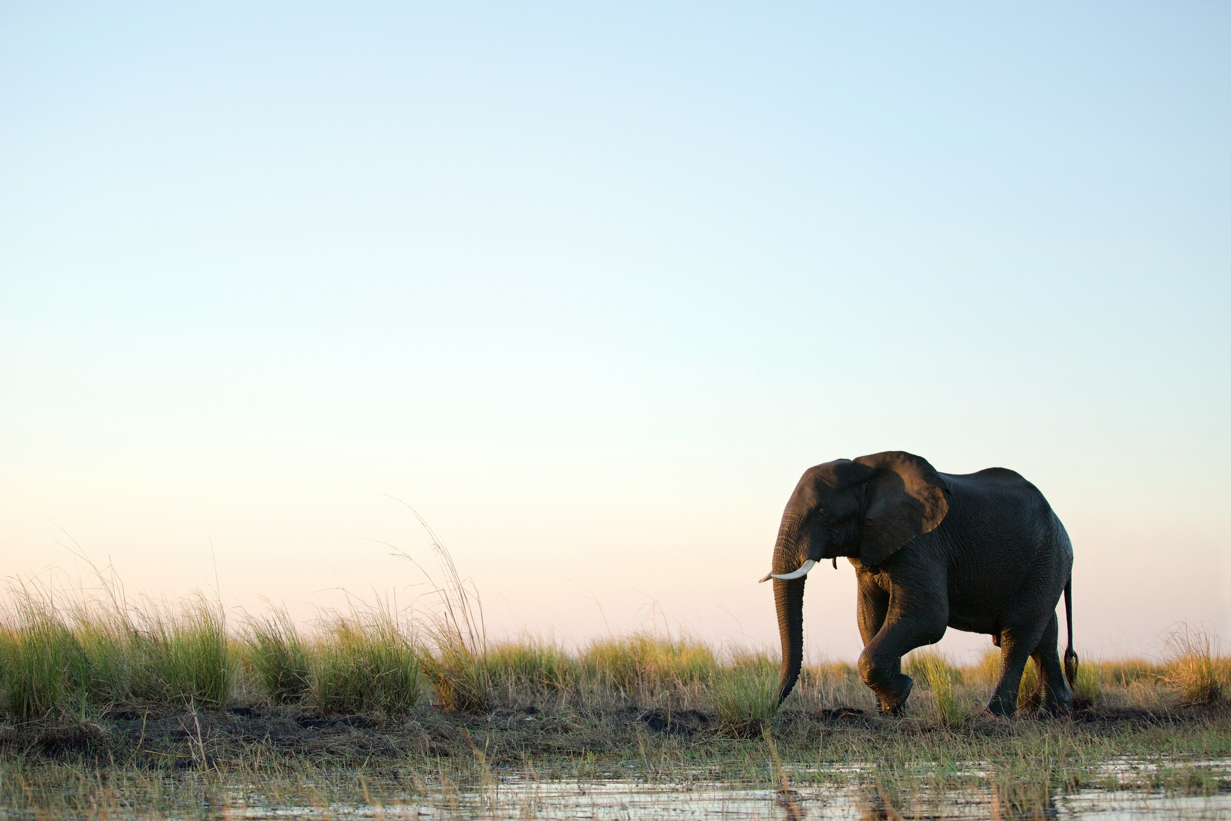 Kruger National Park