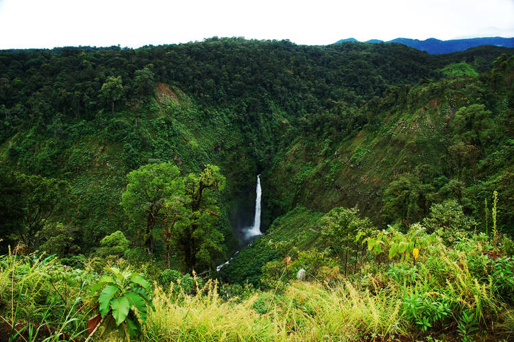 Sarapiqui