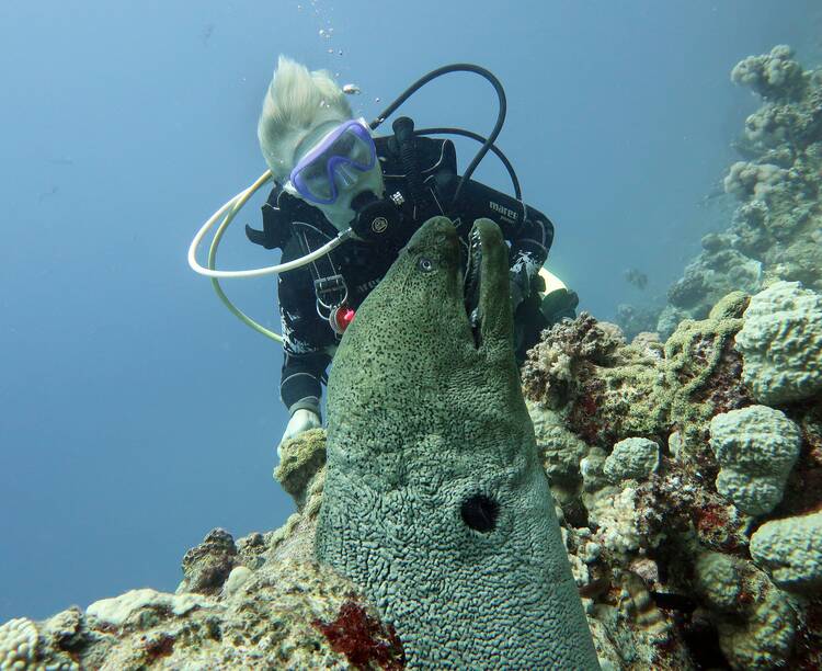 Bali diving generic