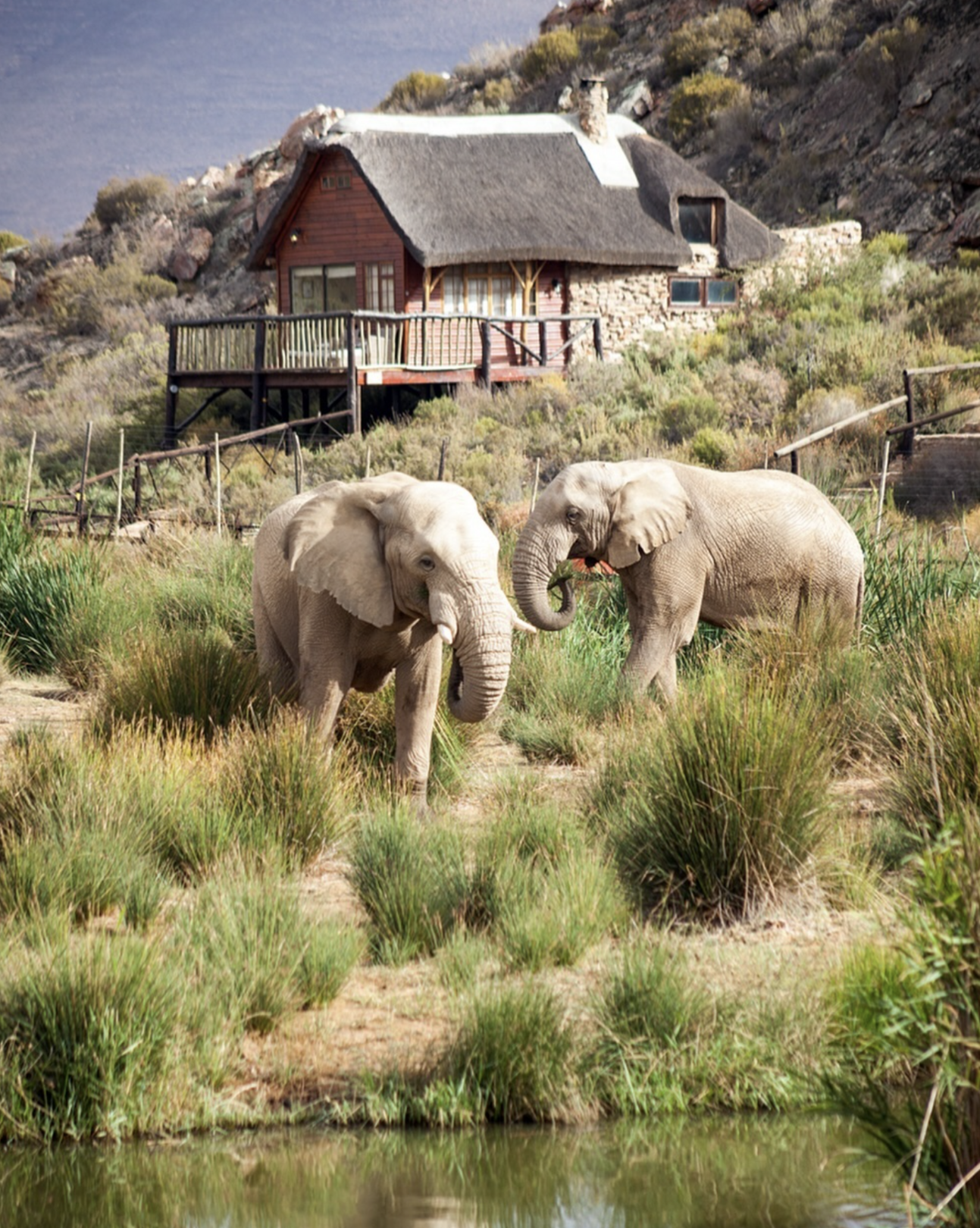 Star Aquila Private Game Reserve - featured