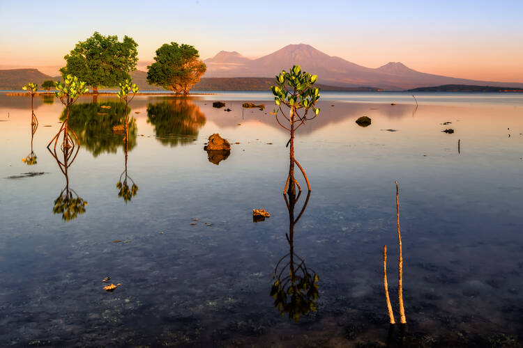 West Bali National Park