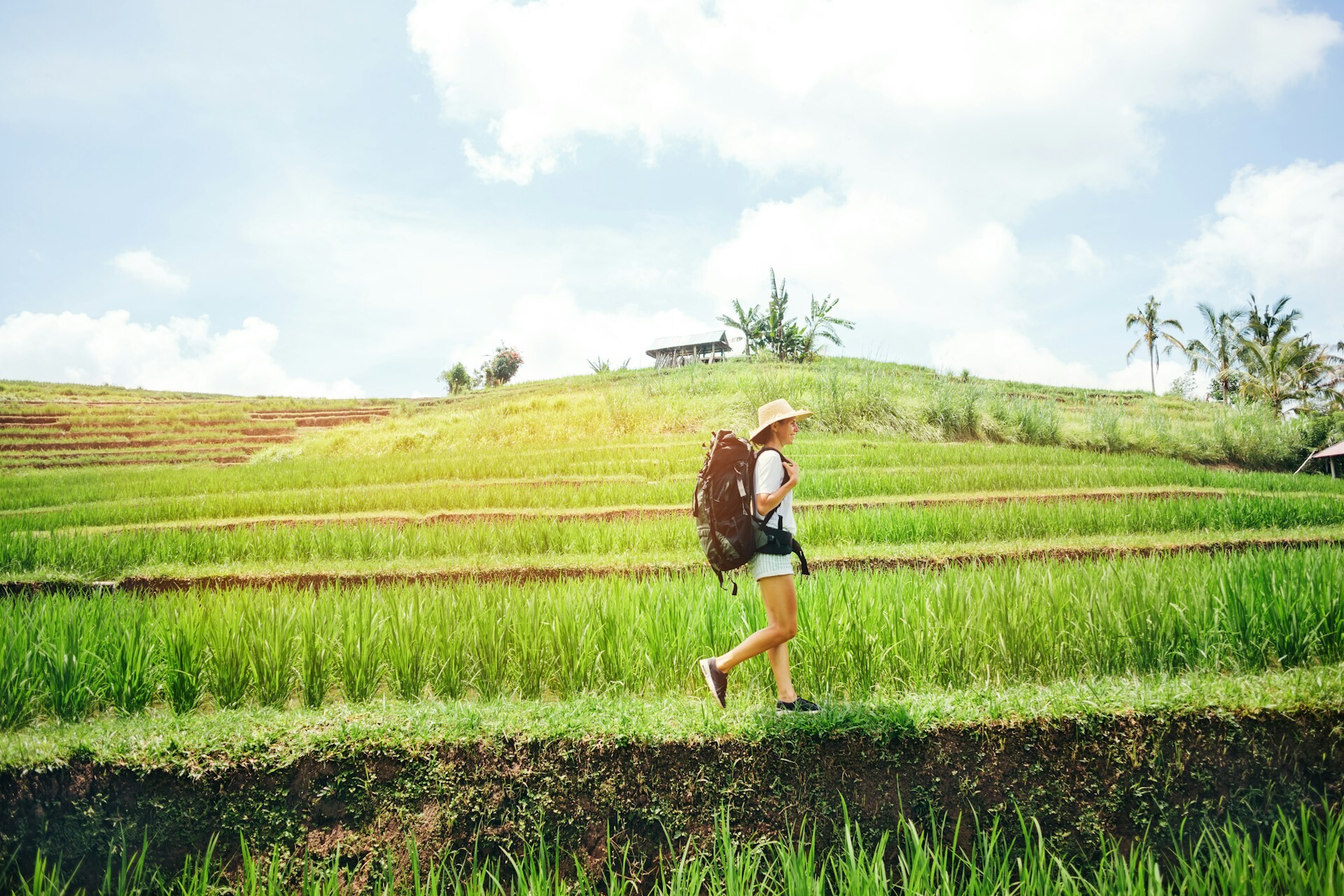 Rice Terrace Bali Generic - feature