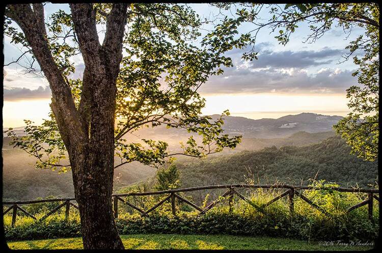 Le Silve di Armenzano