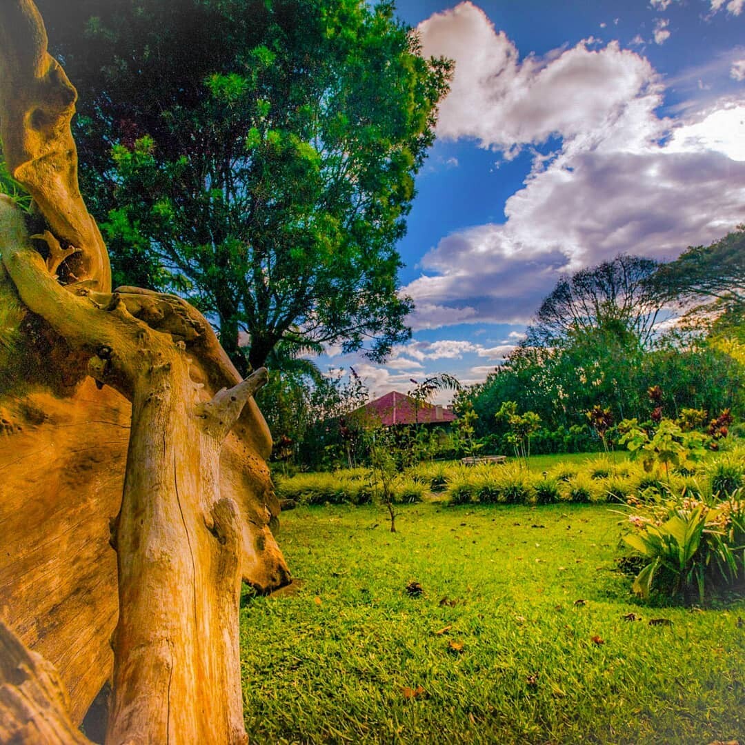 Pura Vida Landscape