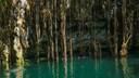 Yokdzonot Cenote