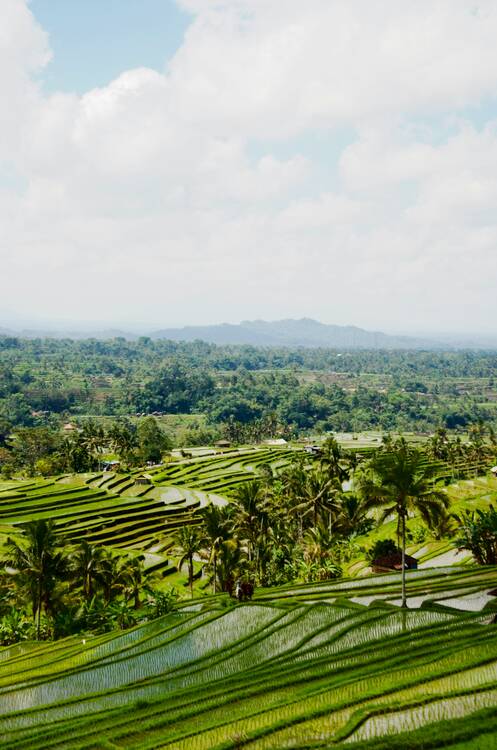 Jatiluwih Rice Terraces