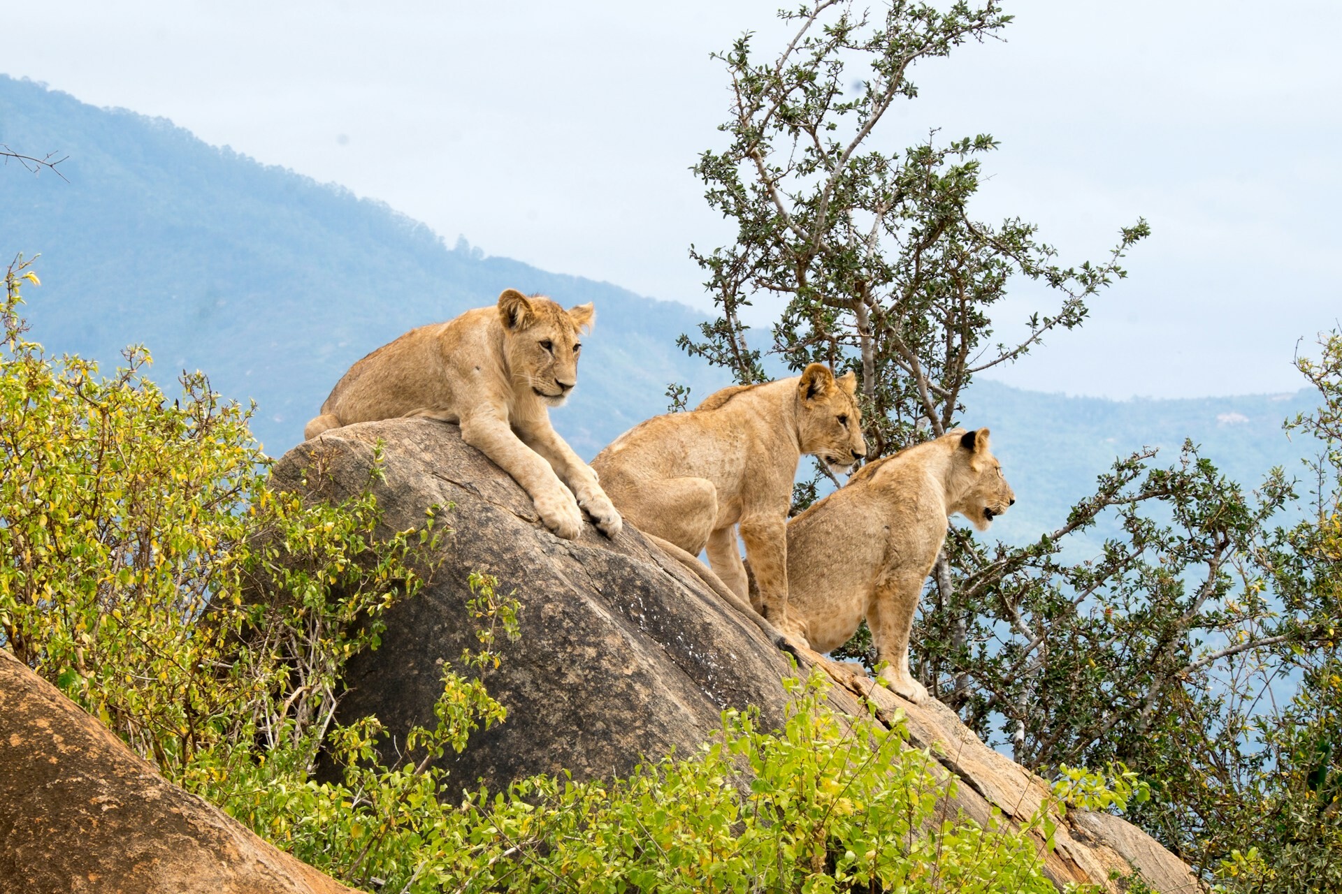 Tsavo East National Park