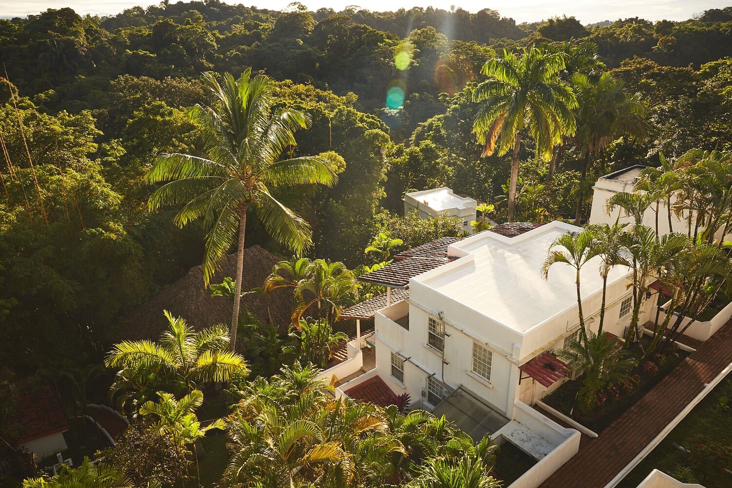 Selina Manuel Antonio