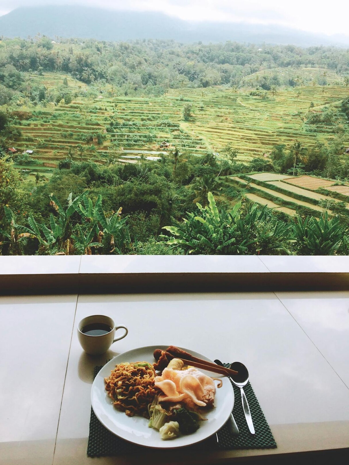 Bali food view - rice terrace - feature