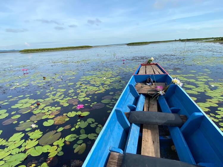 Phattalung - Thale Noi Lake