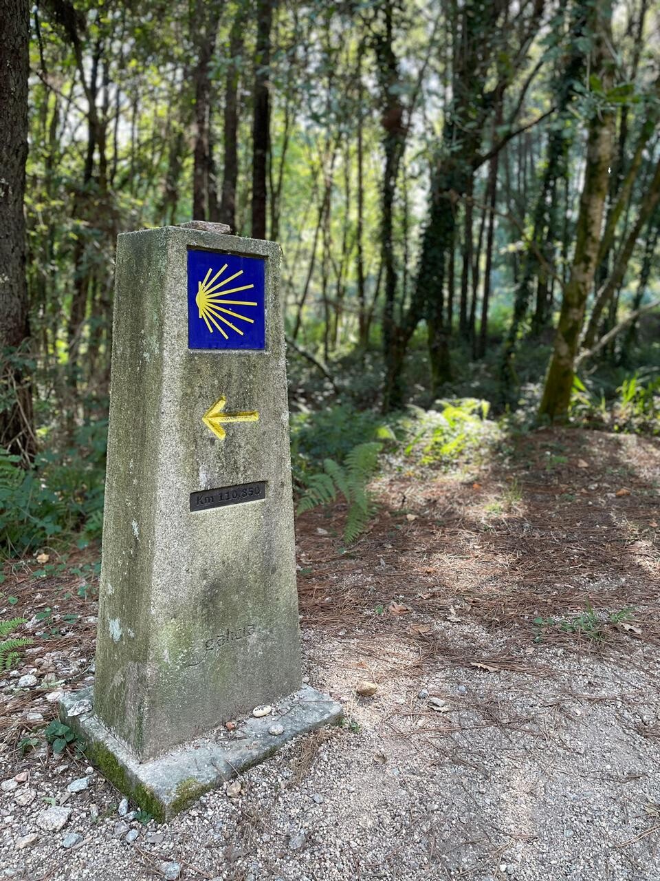 Camino de Santiago - Hero Fernando Mantilla