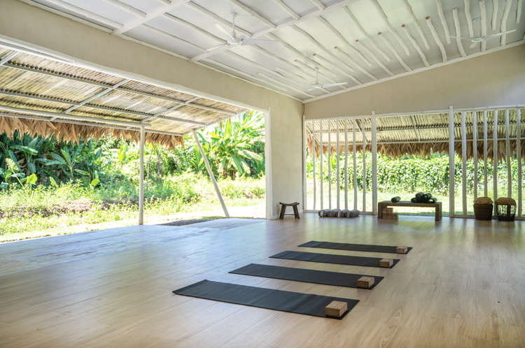 Sonora Caribbean Jungle Retreat Yoga Shala