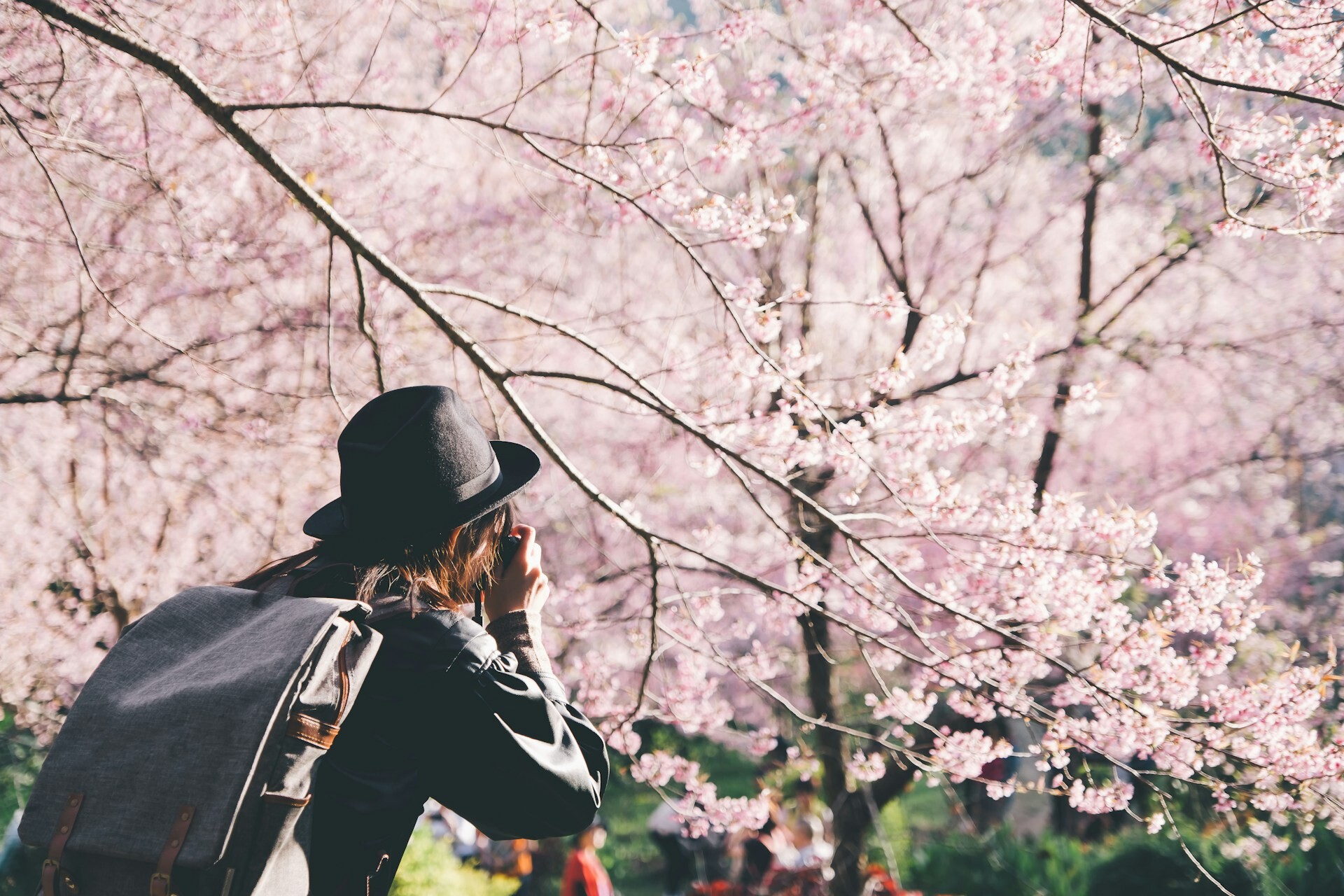 Japan Photography Feature