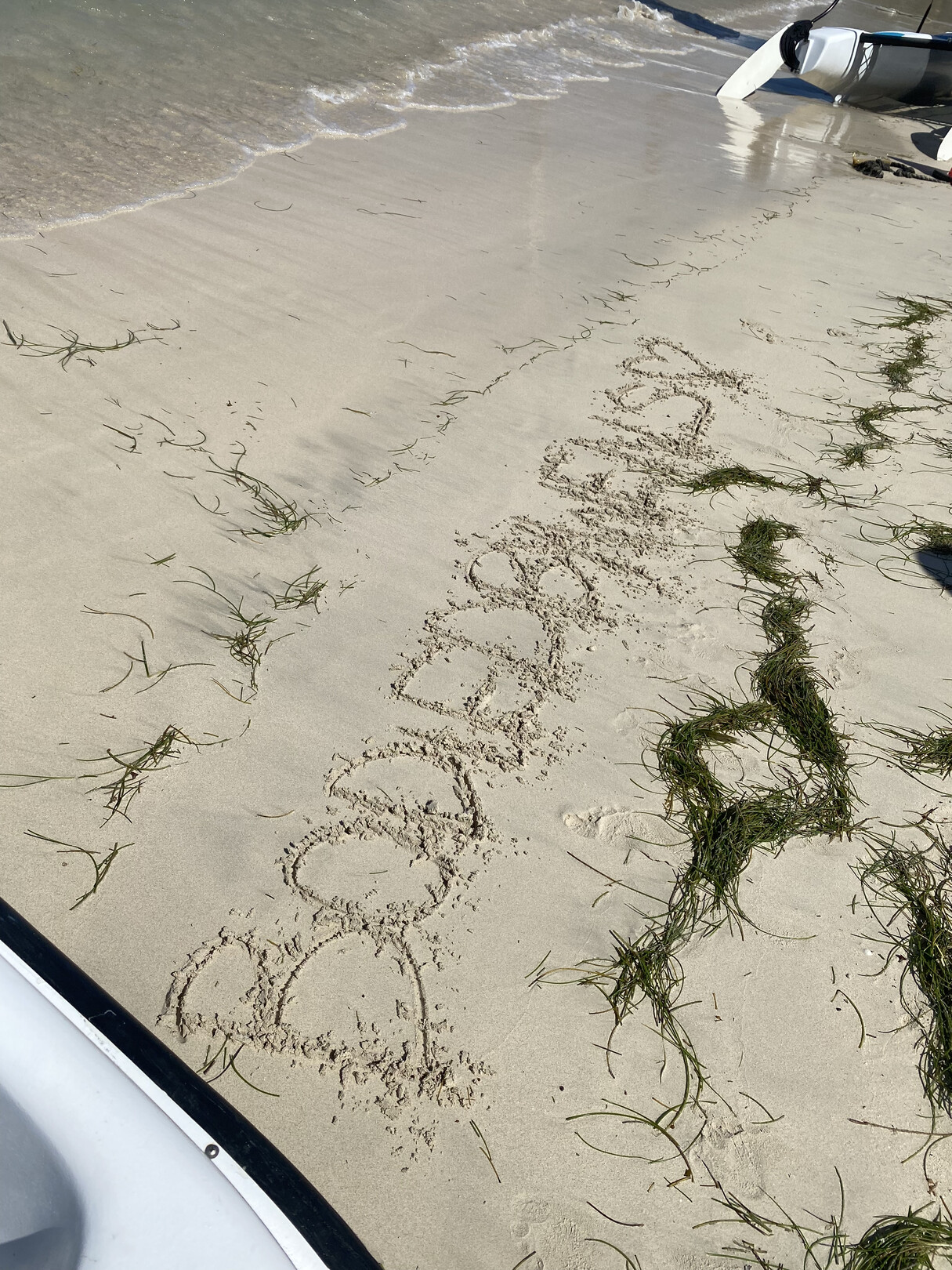 Hero Image - Bodies By Wens Feature