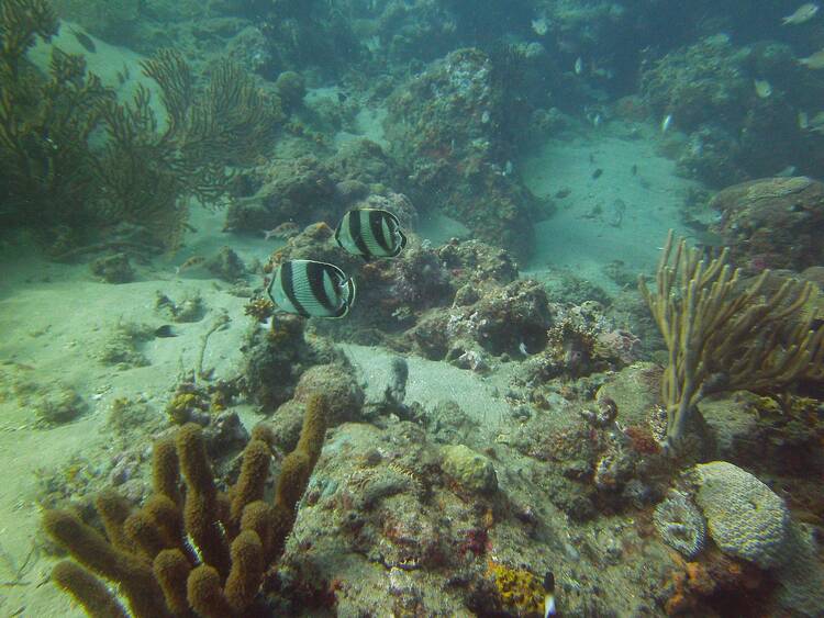 Tayrona National Park