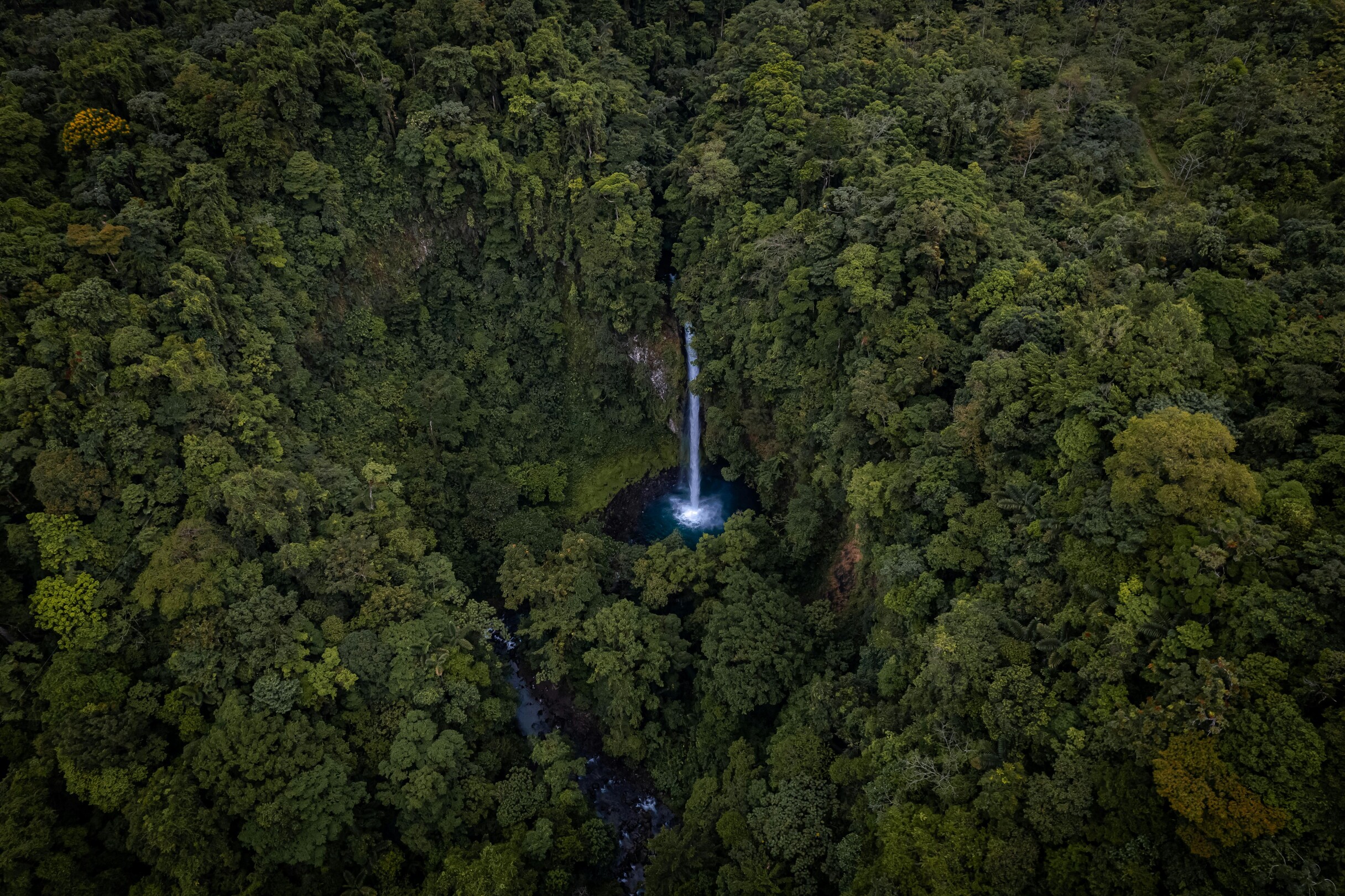 La Fortuna