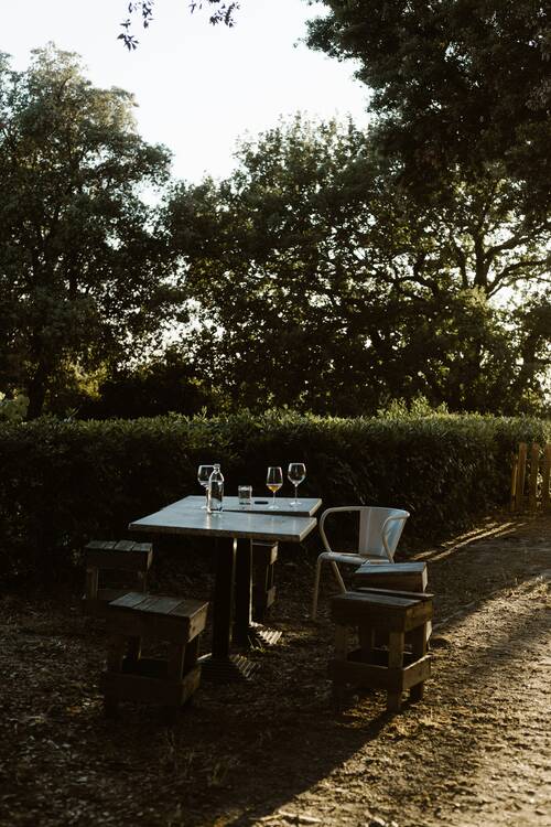 Wine in Italy