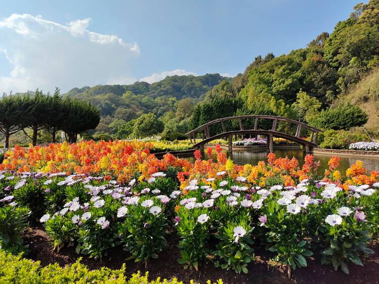 Chiang Mai free 