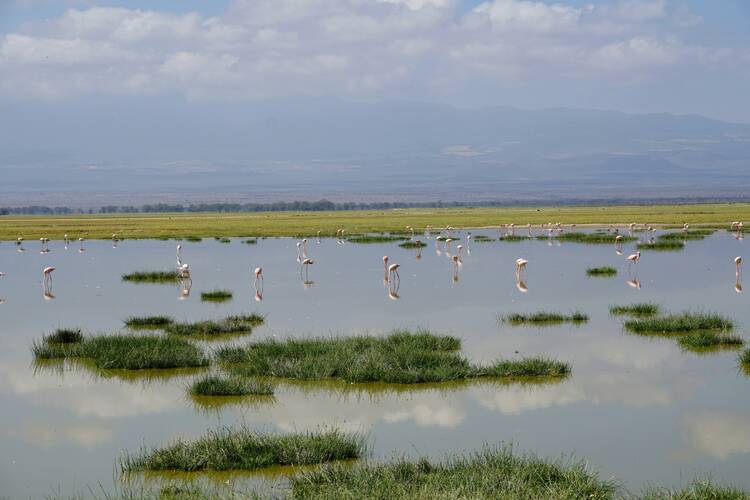 amboseli national park