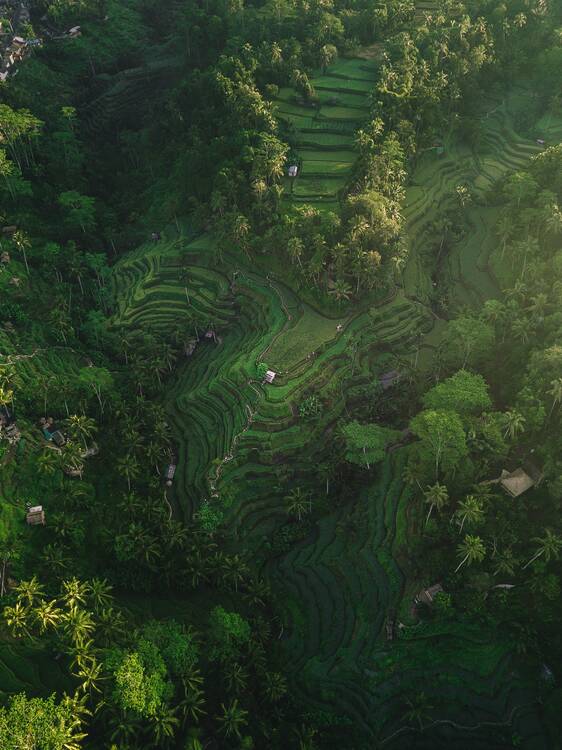 Ubud