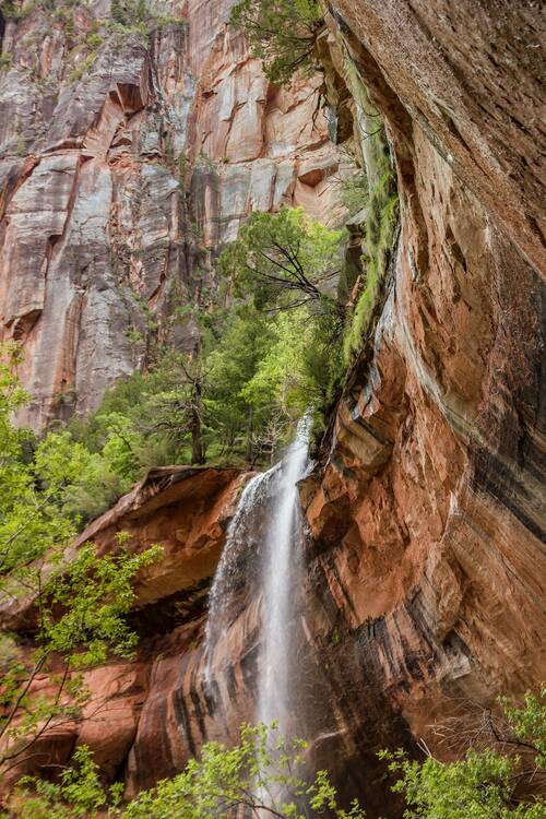 Emerald Pool, Zion National Park