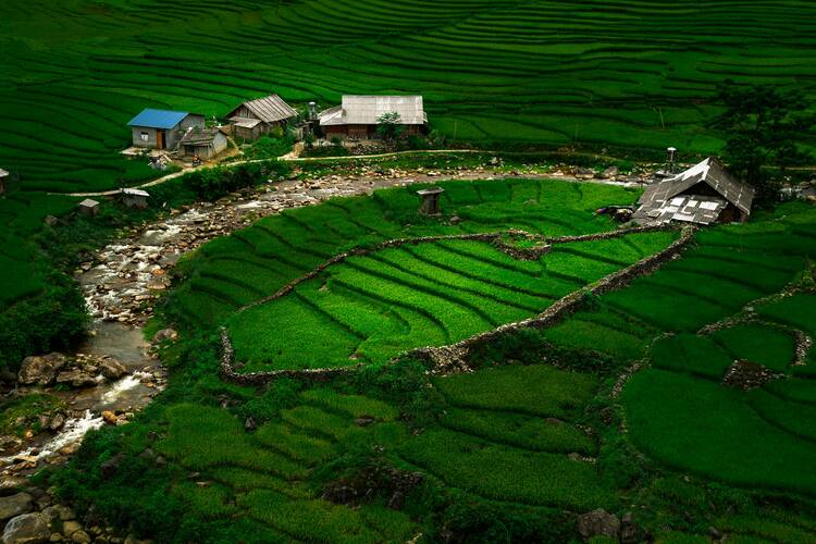 Muong Hoa Valley, Vietnam