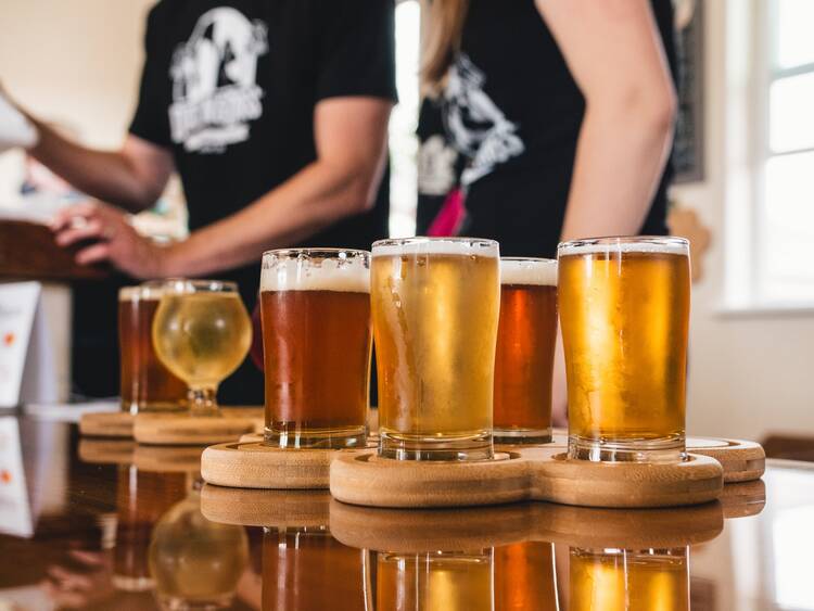 Beer tasting