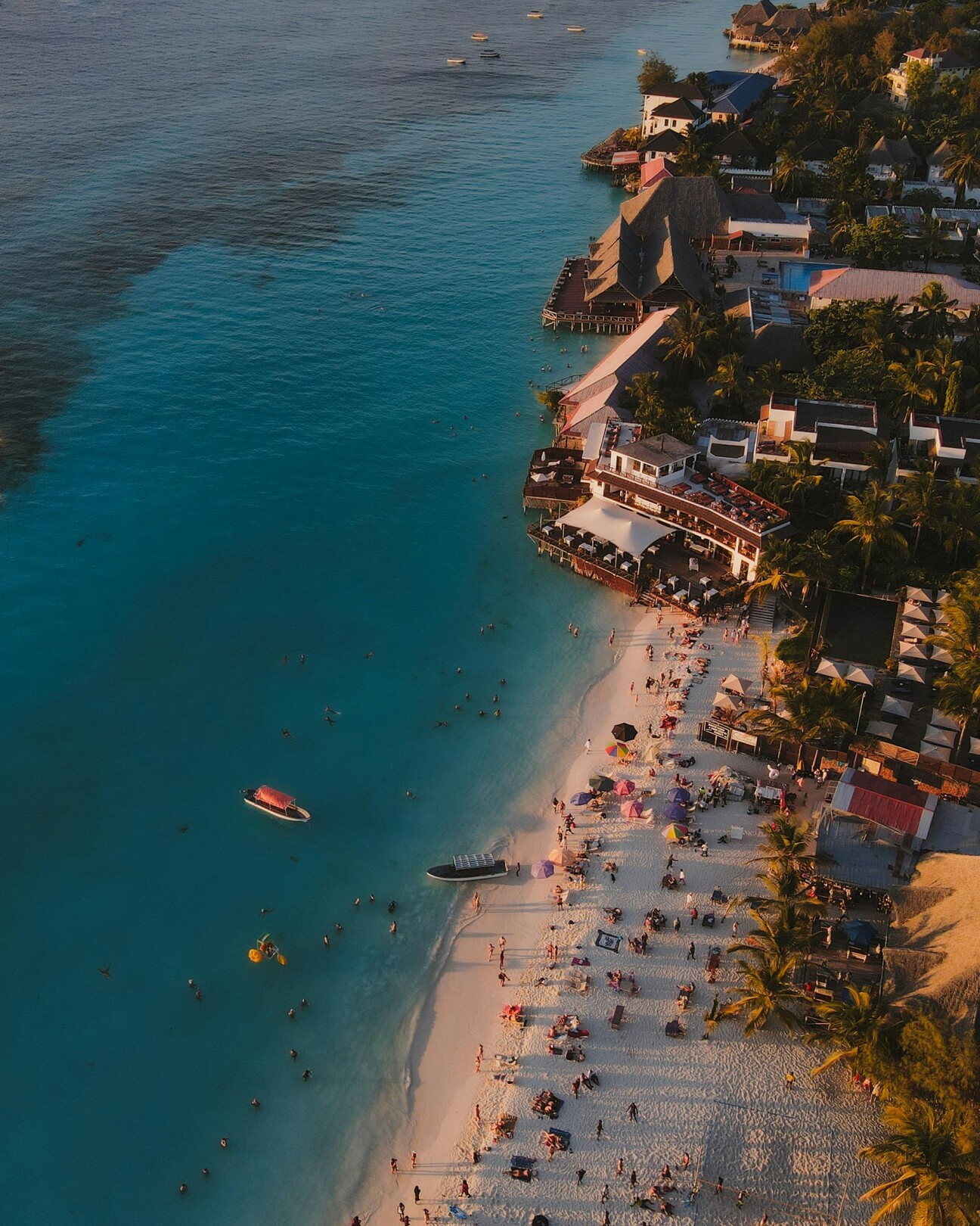 Zanzibar shore - featured
