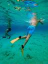 Snorkeling shallow water