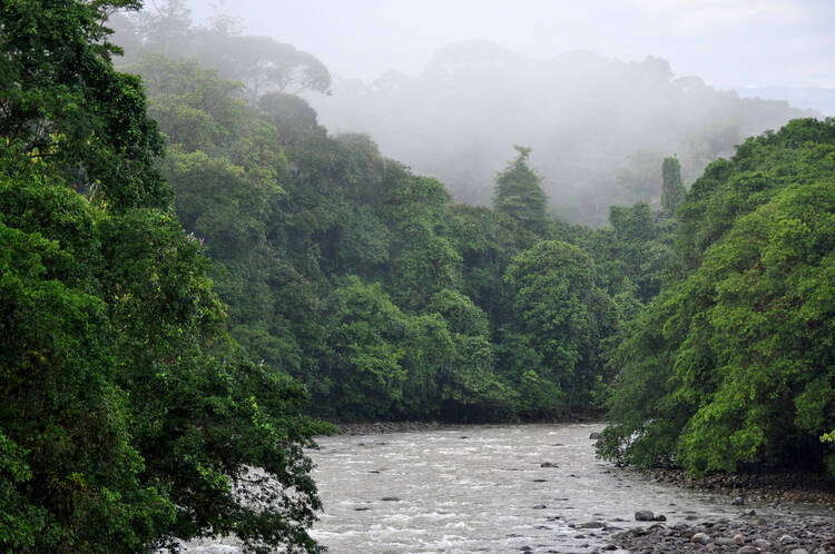 Sarapiqui