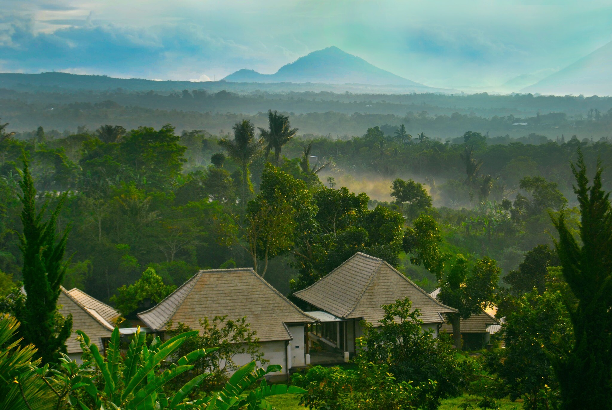 Bagus Agro