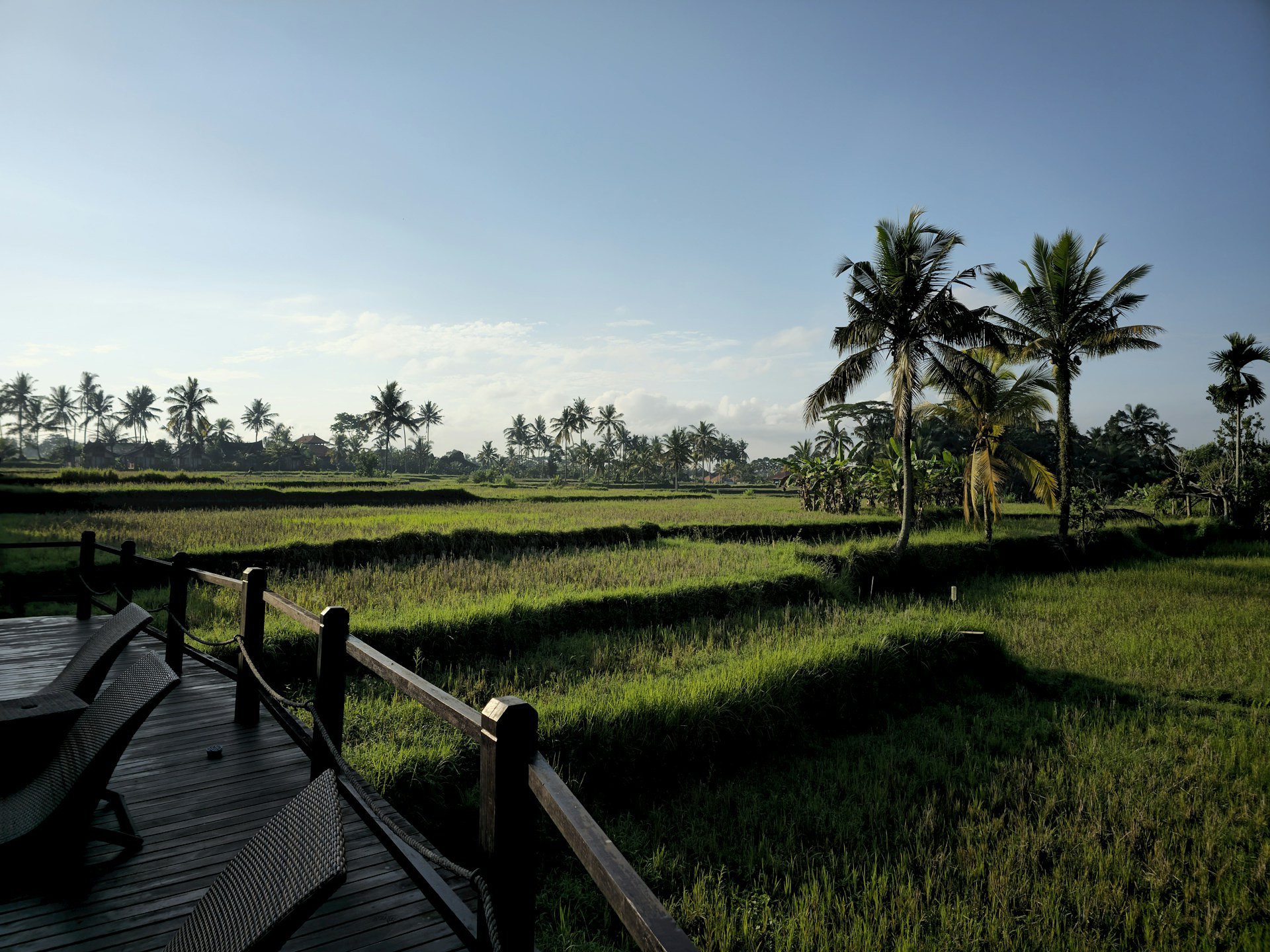 Bali Countryside Feature