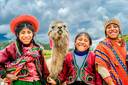 peru llama walking andean weaving