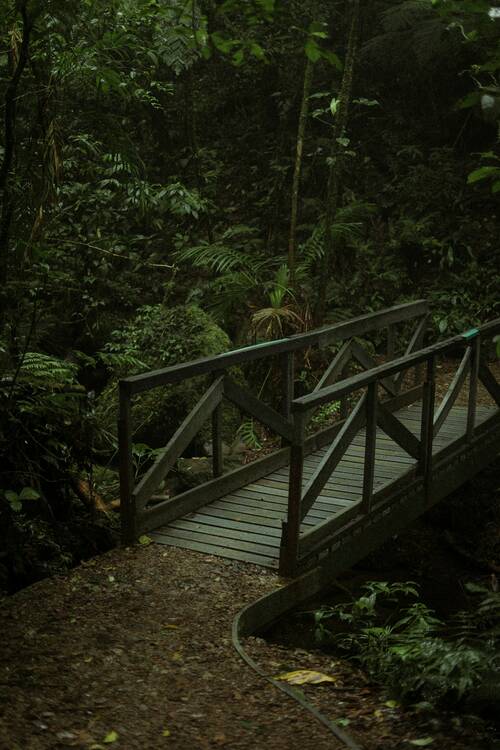 Costa Rica Jungle Free time