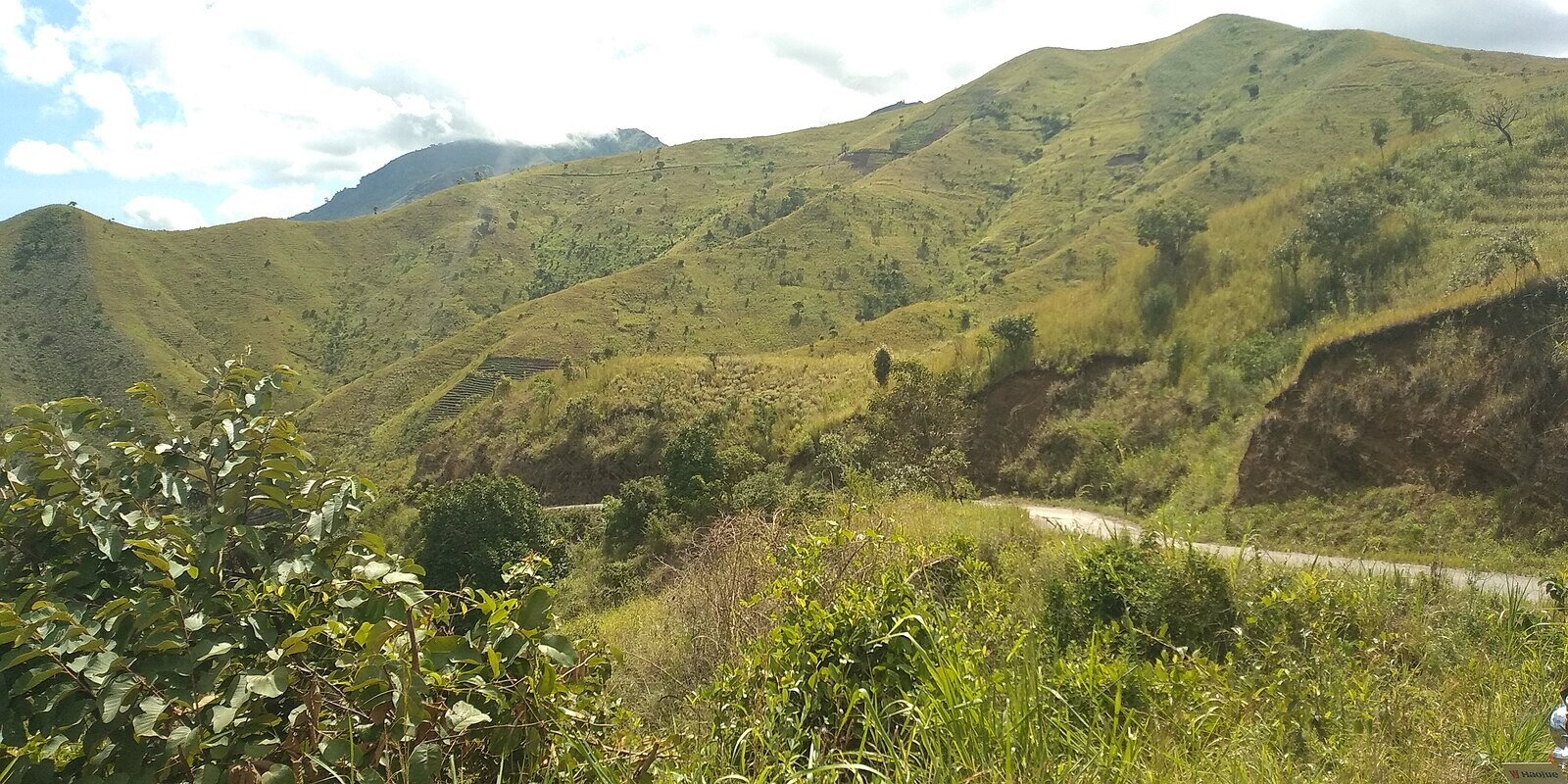 Uluguru Mountains, Tanzania - feature