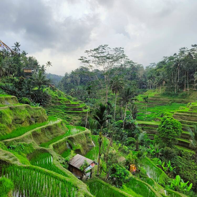 Start in Ubud Bali