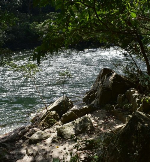 Off the Beaten Path Nature Tour in Santa Marta u0026 La Guajira