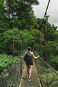 Arenal Park Bridges