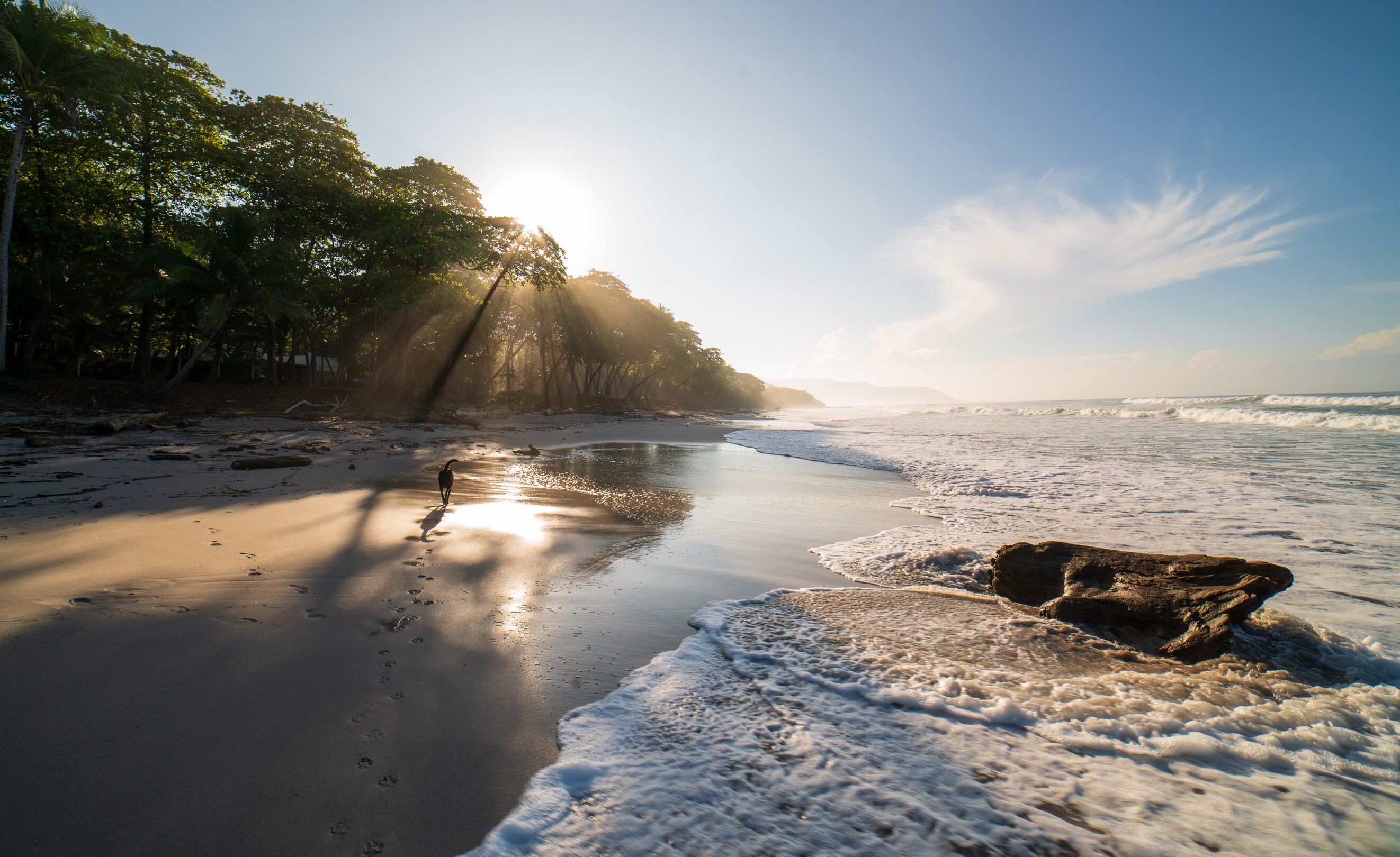 Cahuita Beach