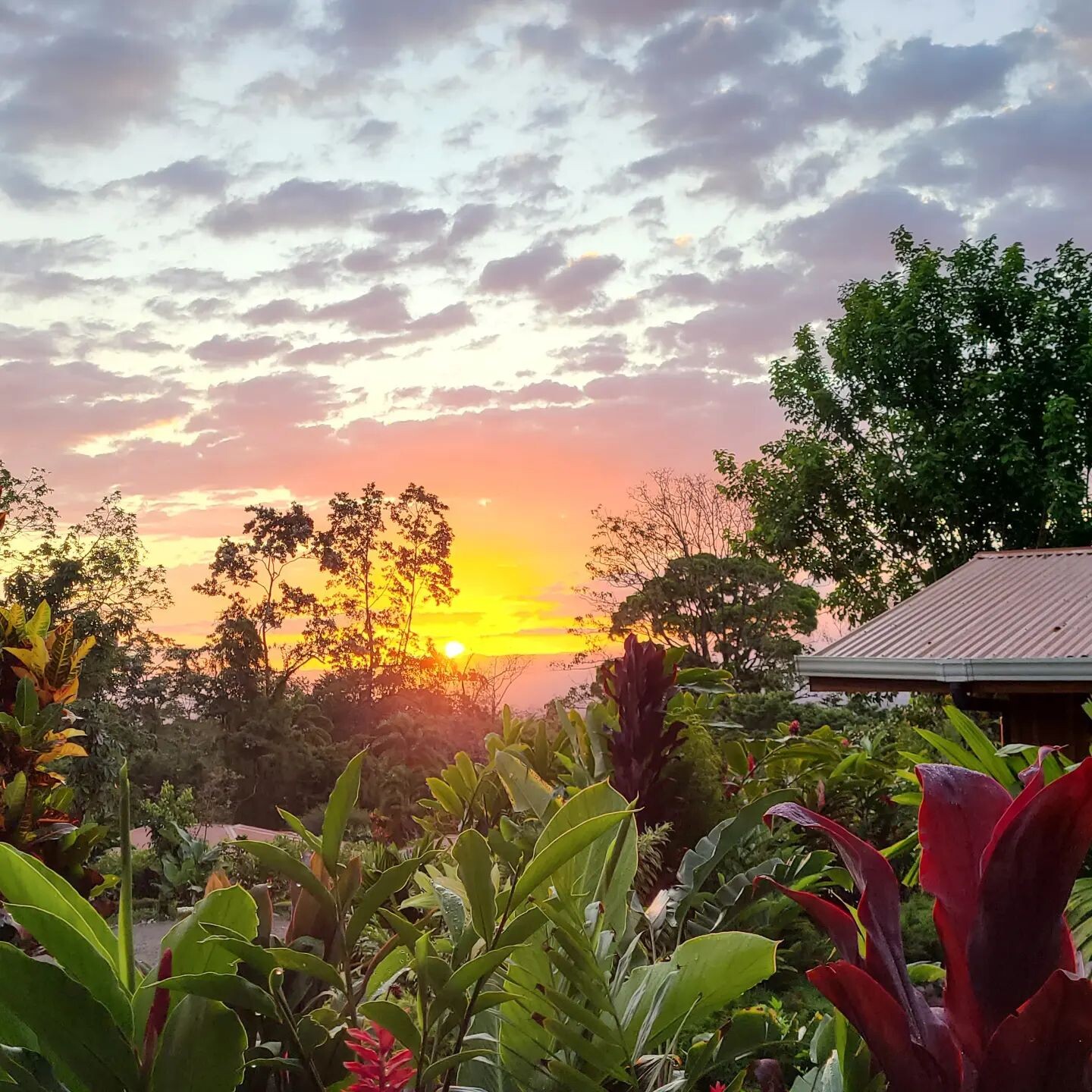 Finca Luna Nueva Lodge