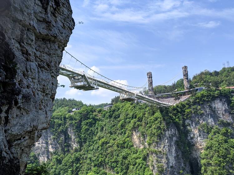 Zhangjiajie Grand Canyon - Jann's pic