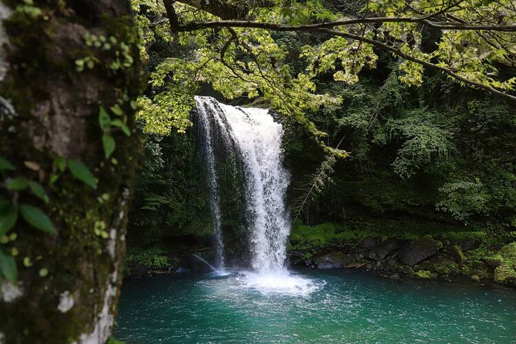 Waterfall in jungle