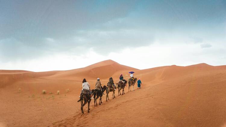 Camel ride Sahara