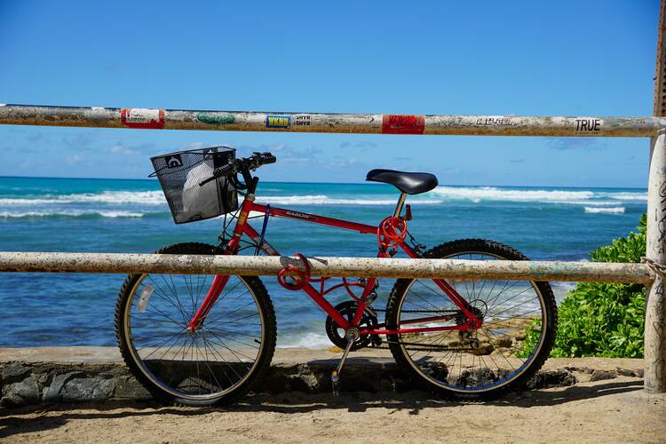 Puerto Viejo, bike