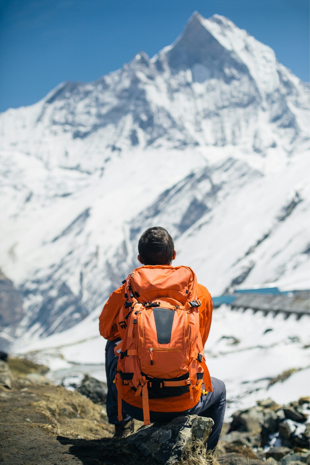 Machhapuchhre, Nepal - man looking at summit - feature