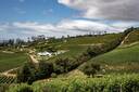 Cape Winelands, South Africa