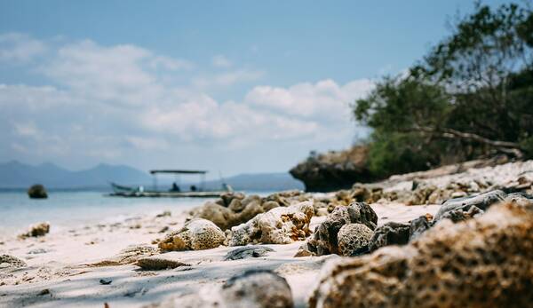 Menjangan shells and view - featured