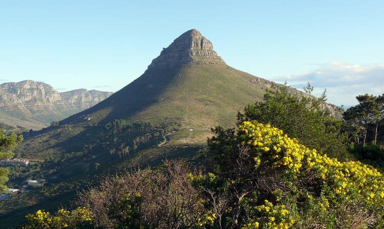 Lion's Head Cape Town