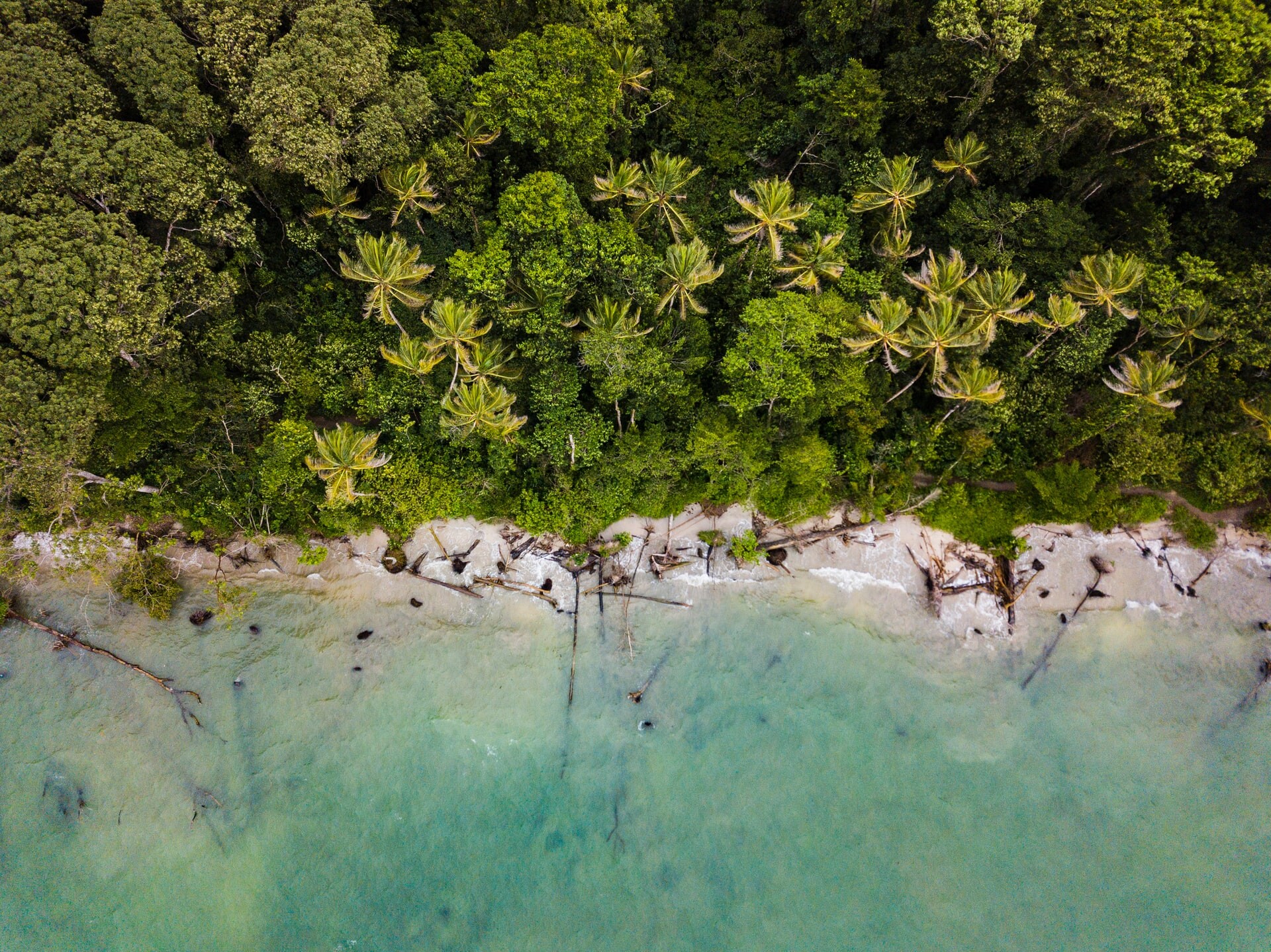 Costa Rica Caribbean Coast